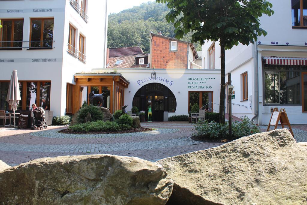 Plumbohms Echt-Harz-Hotel Bad Harzburg Buitenkant foto